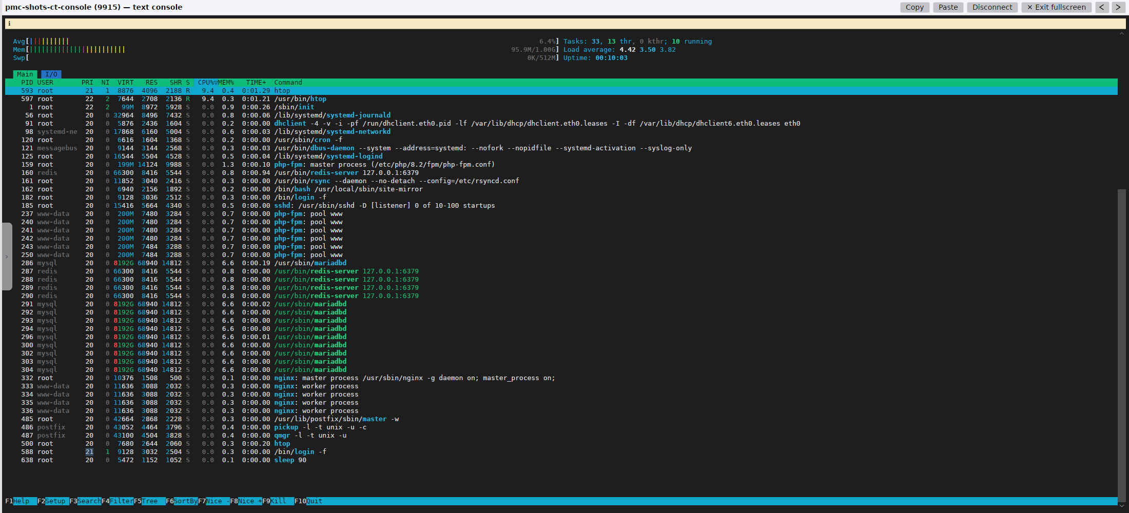 An LXC container's text console in PMClient running htop full-screen, showing the container's own services