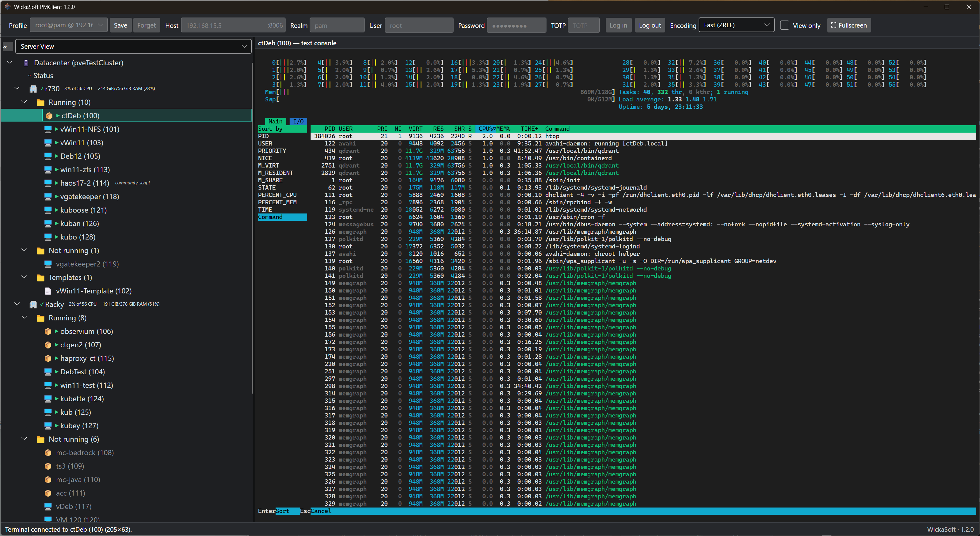 An LXC container's text console in PMClient running htop